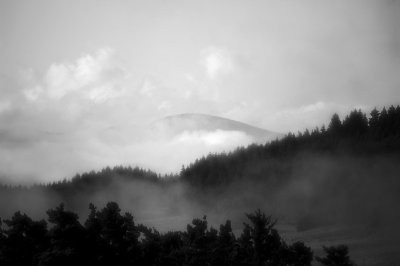 horizon et brouillard.JPG
