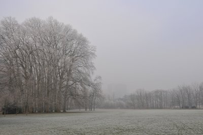 DSC_4738.jpg