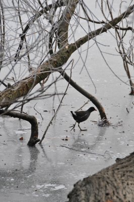 DSC_4798.jpg