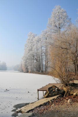 Matine hivernale au parc / Winter morning at the park