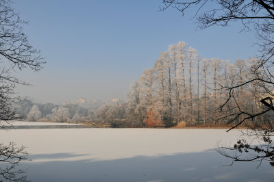 DSC_5139.jpg