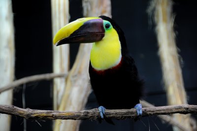 DSC_3090.jpg