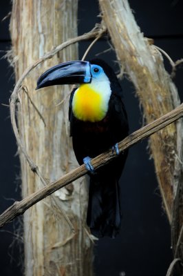 DSC_3104.jpg