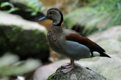 DSC_3187.jpg