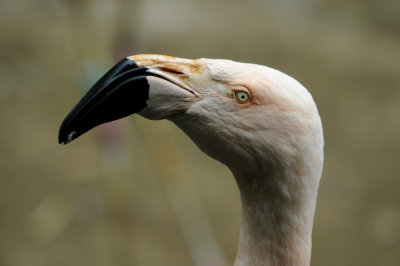 DSC_3208.jpg