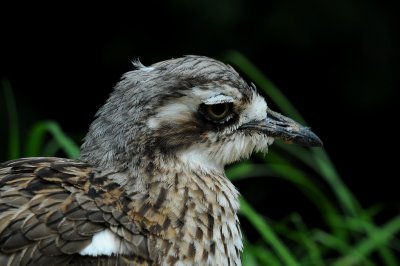 DSC_3275.jpg