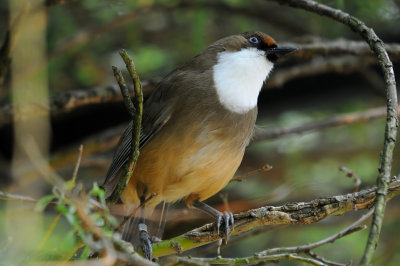 DSC_3281.jpg