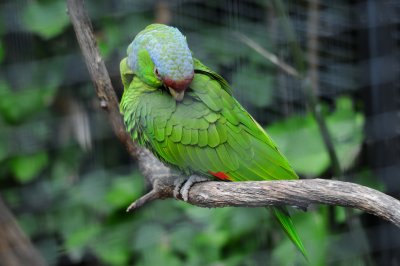 DSC_3295.jpg