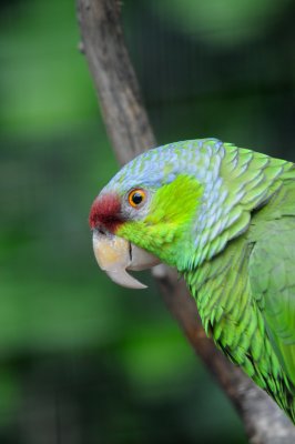 DSC_3296.jpg