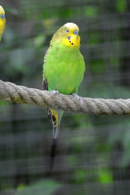 DSC_3332.jpg