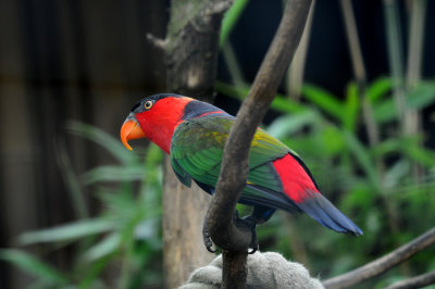 DSC_3350.jpg