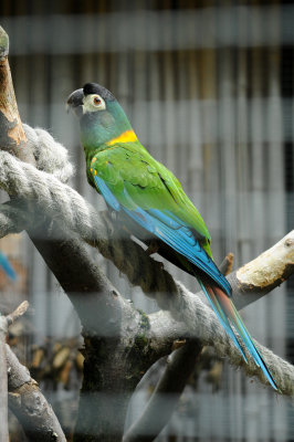 DSC_3385.jpg