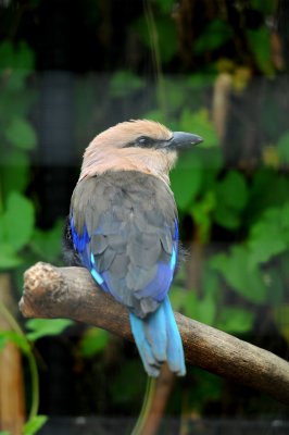 DSC_3426.jpg