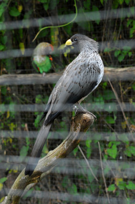 DSC_3469.jpg