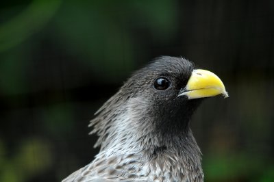 DSC_3473.jpg