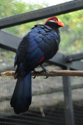 DSC_3478.jpg
