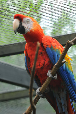 DSC_3508.jpg