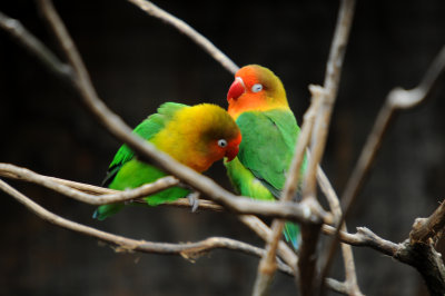 DSC_3522.jpg
