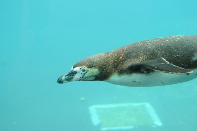 DSC_3577.jpg