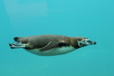DSC_3631.jpg