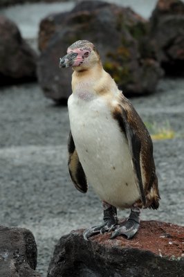 DSC_3660.jpg