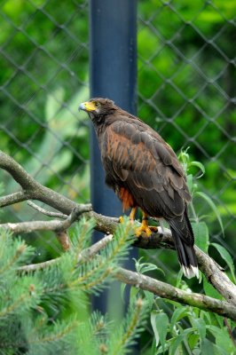 DSC_3698.jpg