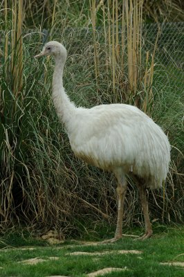 DSC_3743.jpg