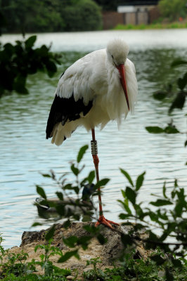 DSC_3838.jpg