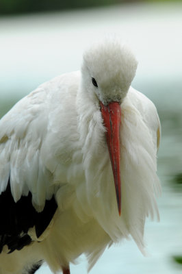 DSC_3842.jpg