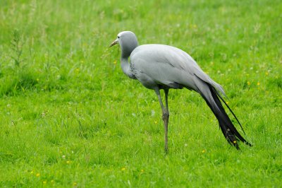 DSC_3844.jpg