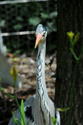DSC_3960.jpg