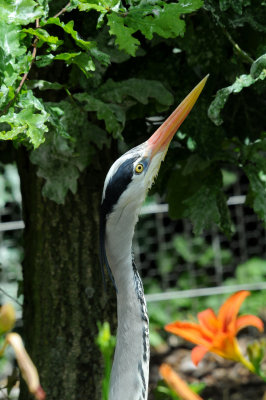 DSC_3974.jpg