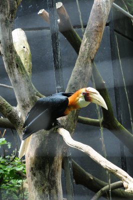 DSC_3993.jpg