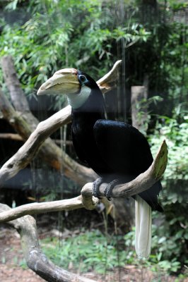 DSC_3996.jpg