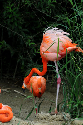 DSC_4019.jpg