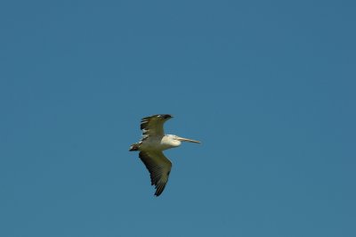 DSC_4032.jpg