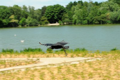 DSC_4153.jpg