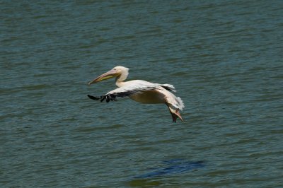 DSC_4183.jpg
