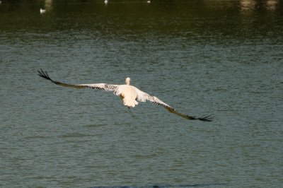 DSC_4235.jpg