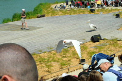DSC_4246.jpg