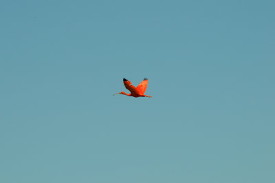 DSC_4320.jpg