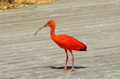 DSC_4341.jpg