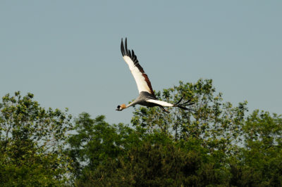 DSC_4379.jpg