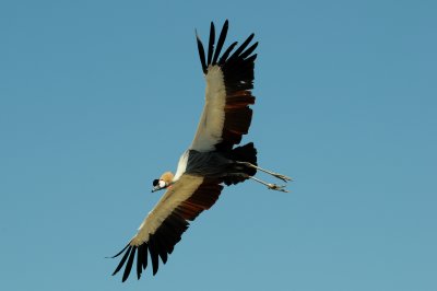 DSC_4390.jpg