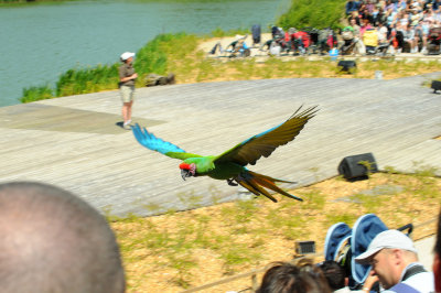 DSC_4467.jpg