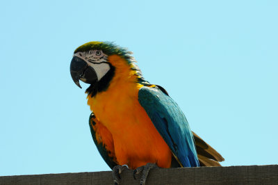 DSC_4497.jpg
