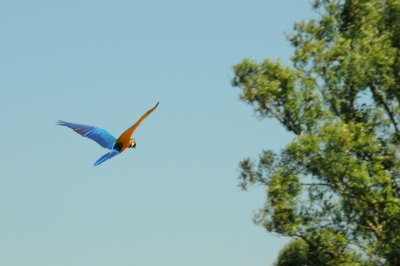 DSC_4512.jpg