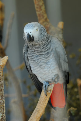 DSC_4537.jpg