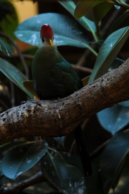 DSC_4567.jpg
