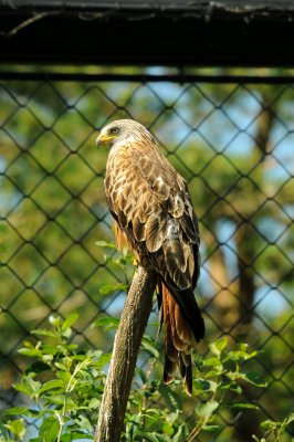 DSC_4587.jpg